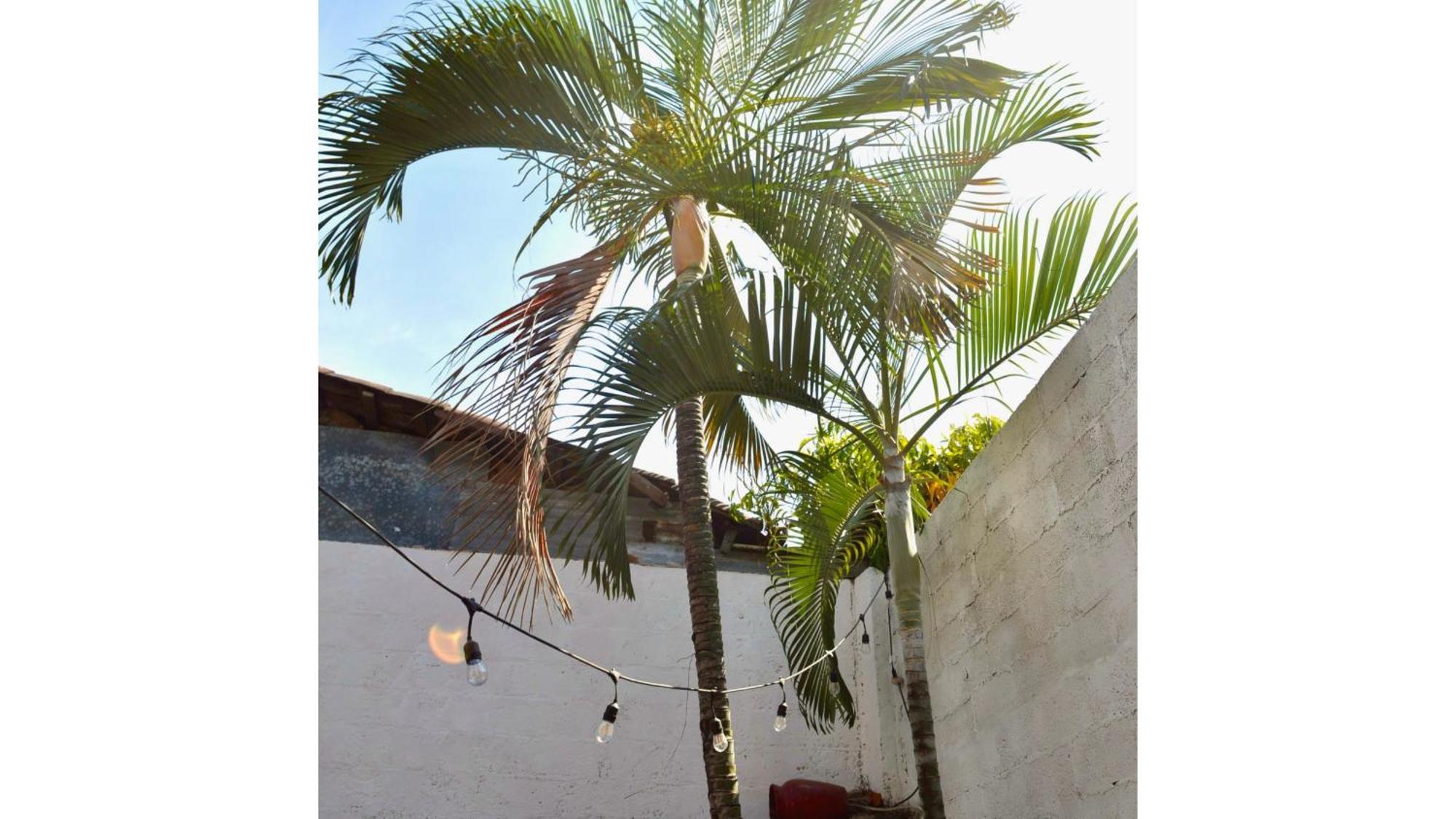 Casa Coco Hostel ซานตา อานา ภายนอก รูปภาพ